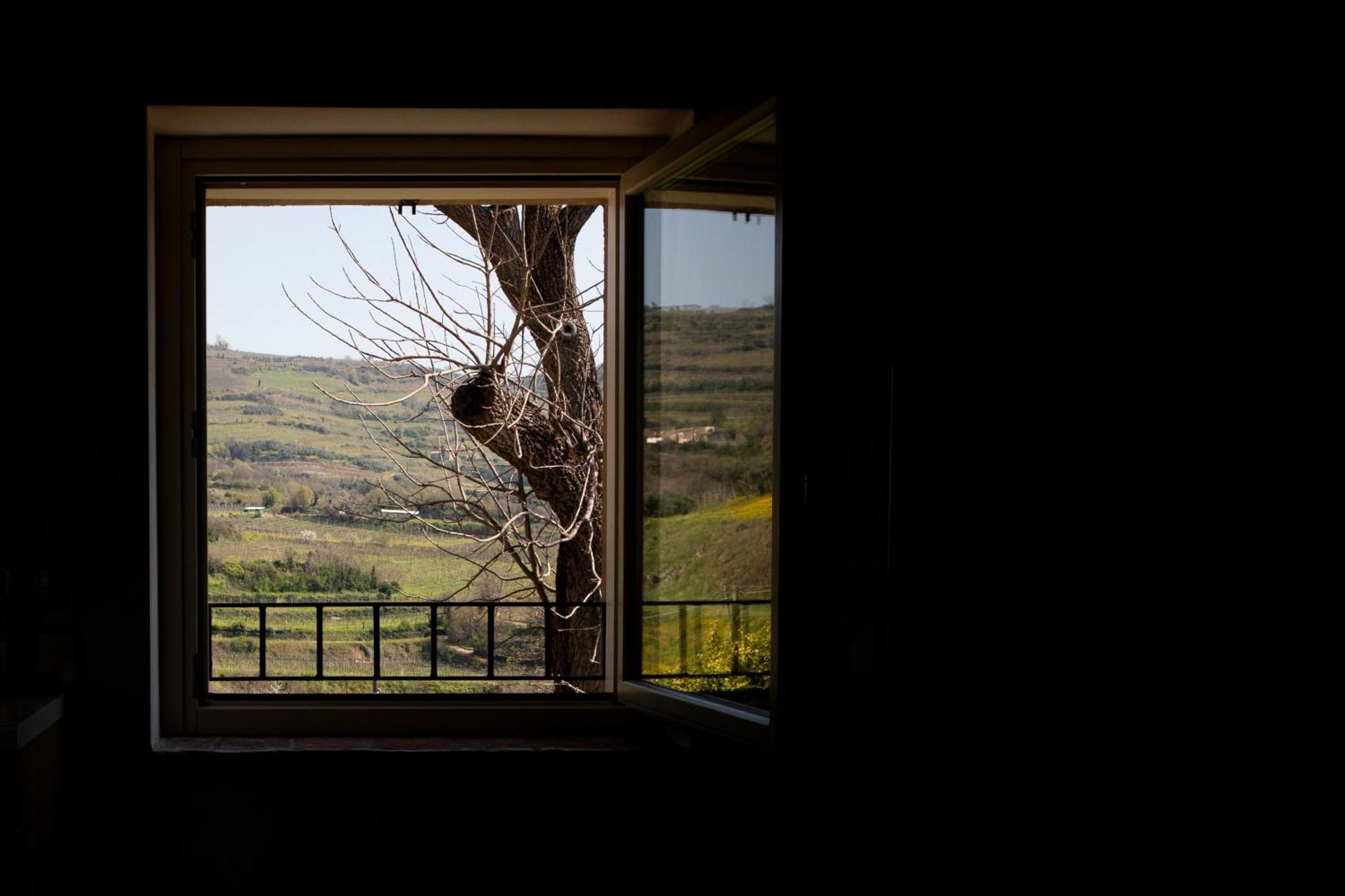 Corte Dei Soavi Suites - Apartments ソアーヴェ エクステリア 写真